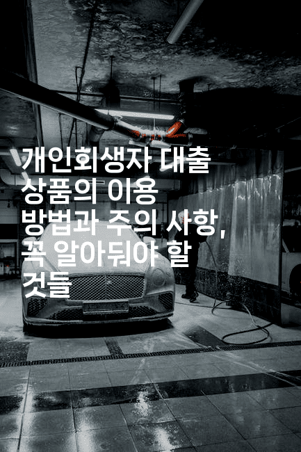 개인회생자 대출 상품의 이용 방법과 주의 사항, 꼭 알아둬야 할 것들-빠르마