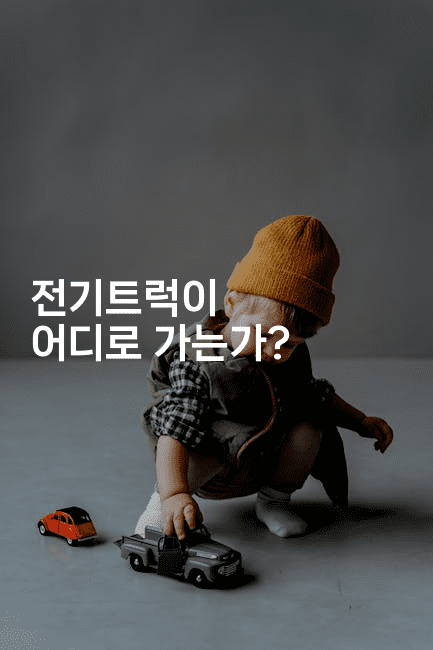 전기트럭이 어디로 가는가? 2-빠르마