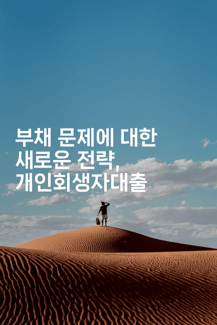 부채 문제에 대한 새로운 전략, 개인회생자대출