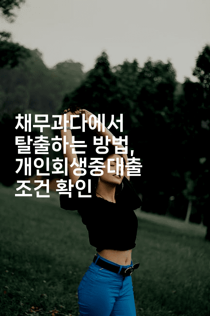 채무과다에서 탈출하는 방법, 개인회생중대출 조건 확인-빠르마