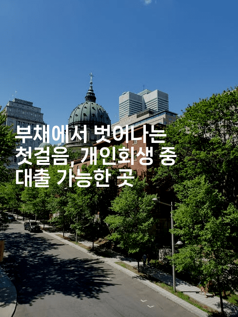 부채에서 벗어나는 첫걸음, 개인회생 중 대출 가능한 곳-빠르마