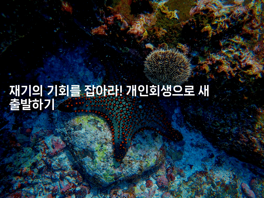 재기의 기회를 잡아라! 개인회생으로 새 출발하기