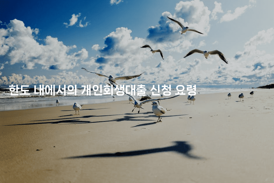 한도 내에서의 개인회생대출 신청 요령-빠르마