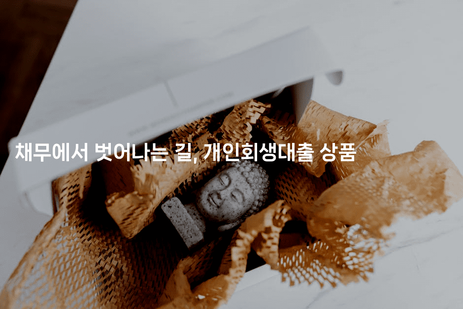 채무에서 벗어나는 길, 개인회생대출 상품