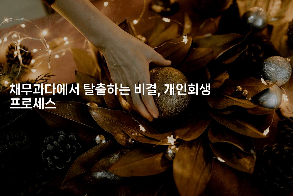 채무과다에서 탈출하는 비결, 개인회생 프로세스-빠르마