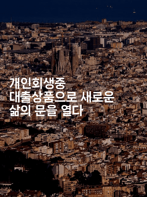 개인회생중 대출상품으로 새로운 삶의 문을 열다-빠르마