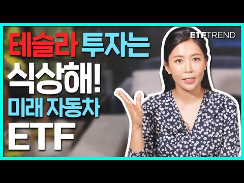 테슬라 투자 보다 미래 자동차 ETF | HAIL ETF | KARS ETF | DRIV ETF | IDRV ETF |