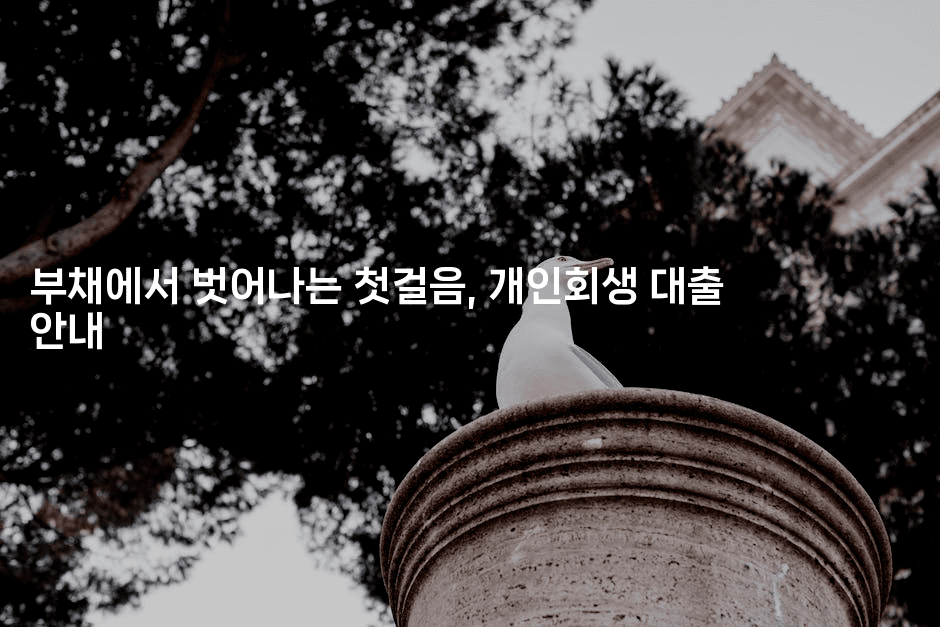 부채에서 벗어나는 첫걸음, 개인회생 대출 안내